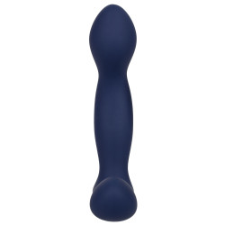 CalExotics Viceroy Stimulateur de prostate Expert Probe Viceroy 10 x 2.5cm